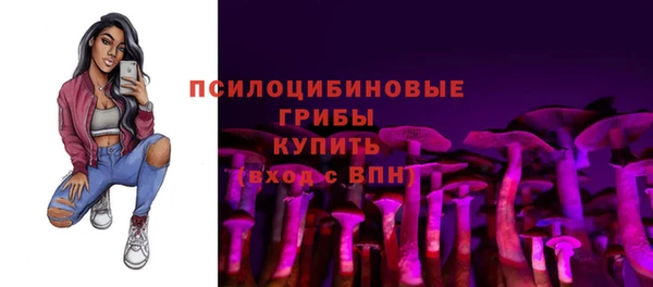 первитин Верхний Тагил
