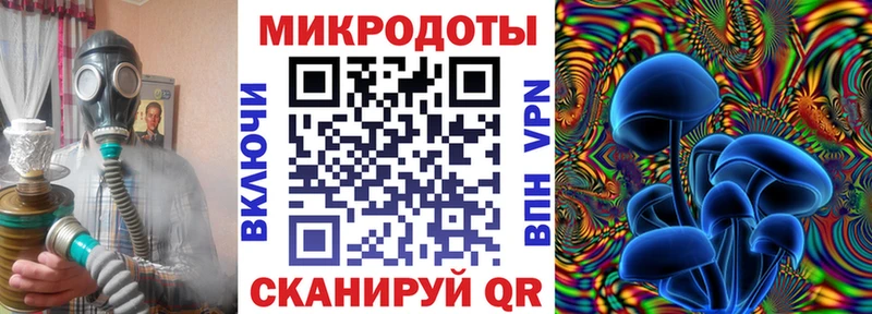 Купить  Ленинск  Галлюциногенные грибы Magic Shrooms 